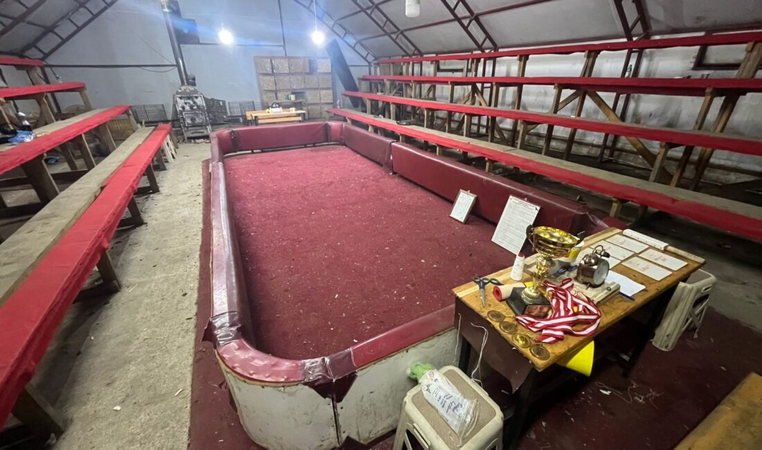 Kocaali İlçesinde Bir Evin Bahçesine Kurulan Tribünlü Çadırda Horoz Dövüştüren