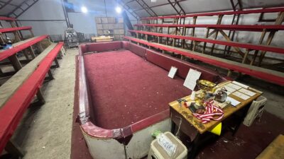 Kocaali İlçesinde Bir Evin Bahçesine Kurulan Tribünlü Çadırda Horoz Dövüştüren