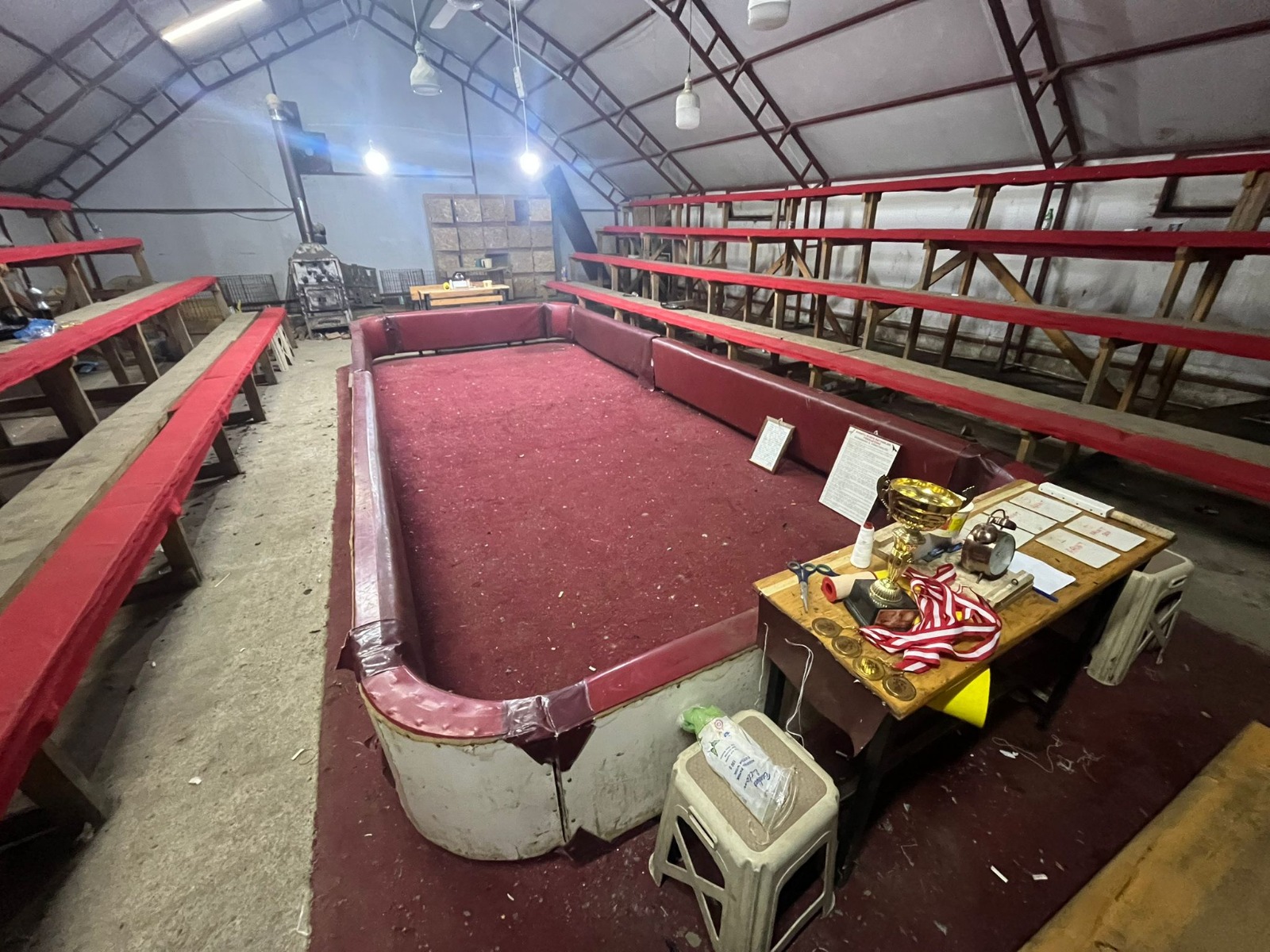 Kocaali İlçesinde Bir Evin Bahçesine Kurulan Tribünlü Çadırda Horoz Dövüştüren