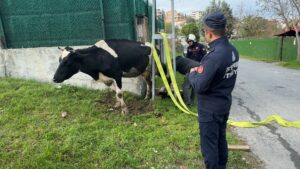 &nbsp; İtfaiye ve Vinçle Kurtarma Operasyonu Avcılar Firuzköy Mahallesi, Poyraz