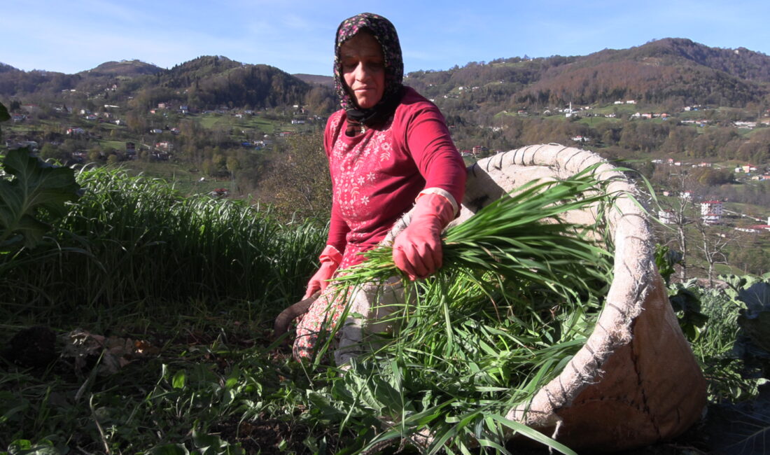 &nbsp; Zorlu Yayla Yaşamından Tribün Coşkusuna Uzanan Trabzonspor Aşkı Trabzon’un