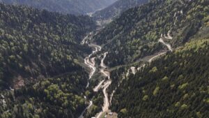 &nbsp; Kuraklık ve Ani Hava Değişimleri Orman Varlığını Tehdit Ediyor