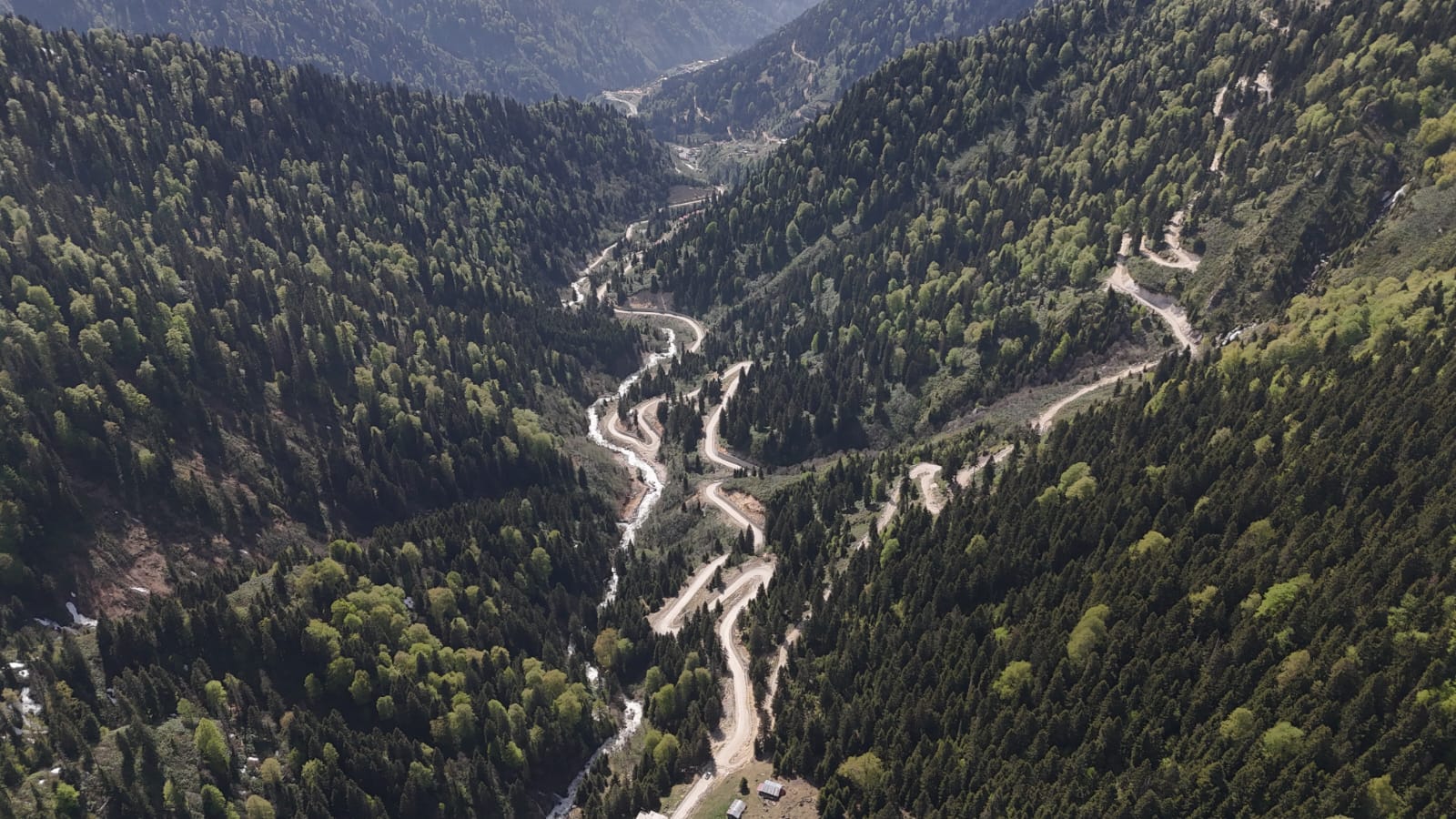 &nbsp; Kuraklık ve Ani Hava Değişimleri Orman Varlığını Tehdit Ediyor