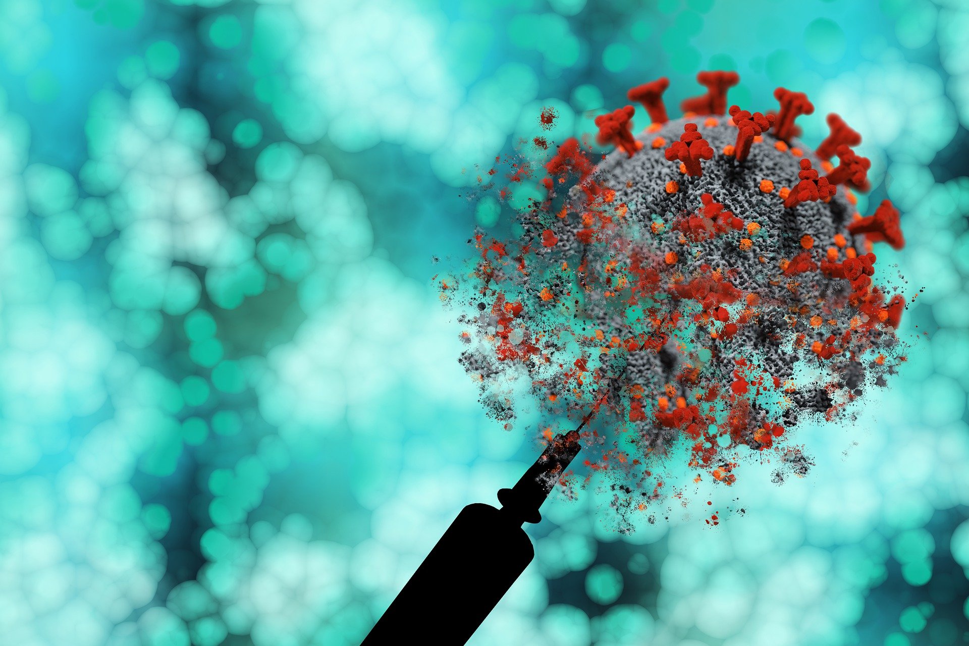 &nbsp; Yeni Rekombinant Mpox Türünde İki Farklı Clade’a Ait Genetik