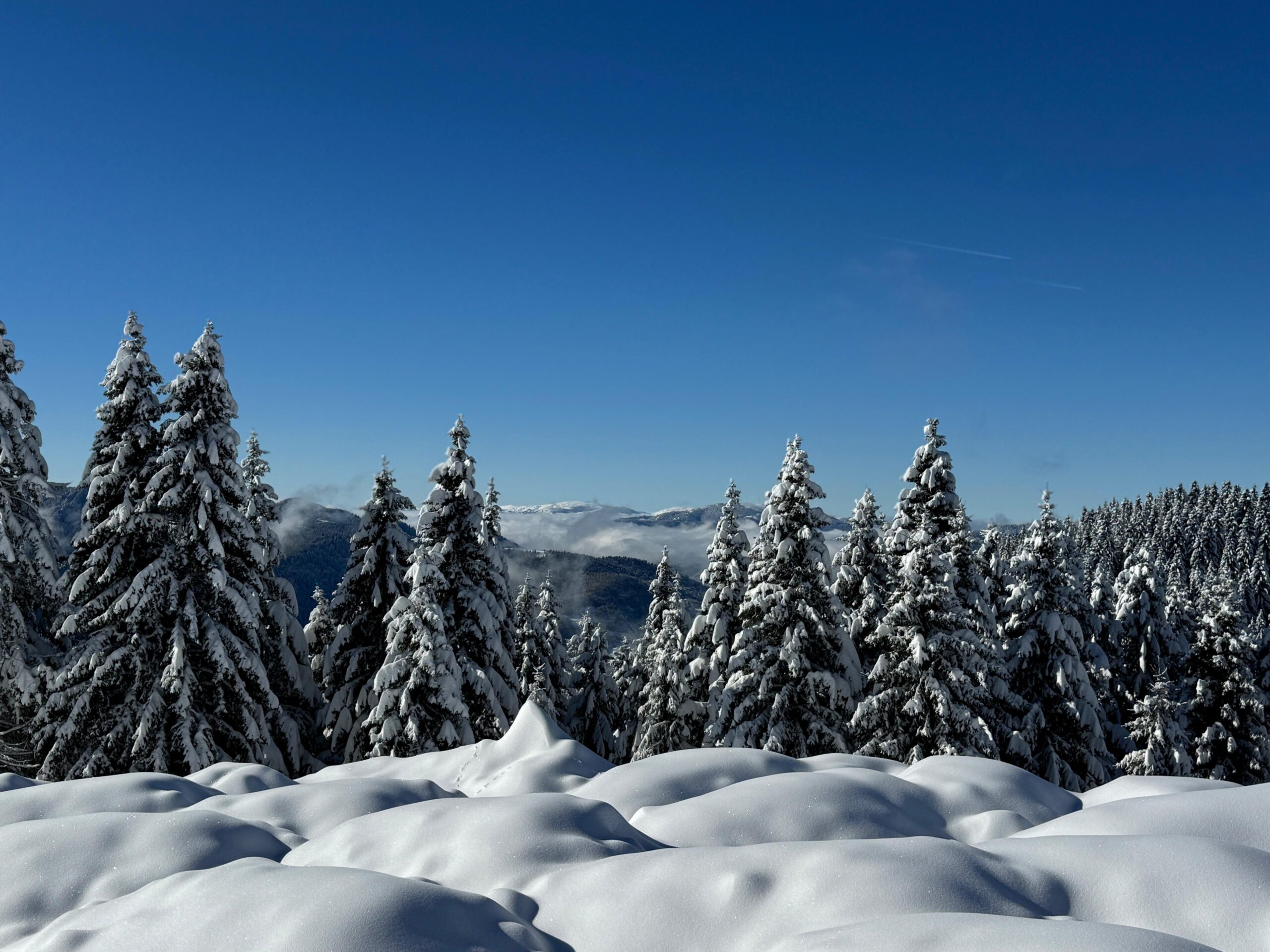 2 Bin Rakımlı Yaylada Kar Kalınlığı 25 Santimetreye Ulaştı Ordu’da