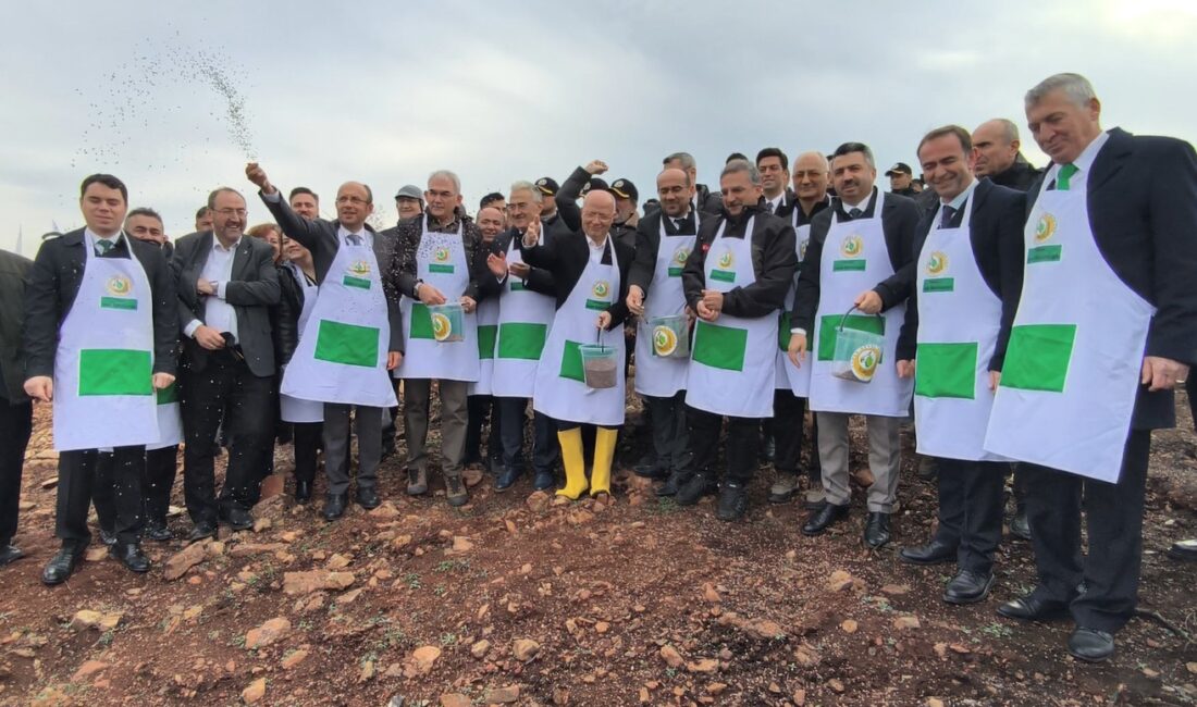 &nbsp; 4 Bin 254 Hektarlık Alan Yeniden Yeşeriyor Orman Genel