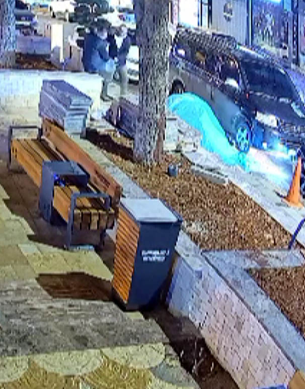 Kahramanmaraş’ta bir parkta bulunan büyük saksı içindeki ağacı gözlerine kestiren