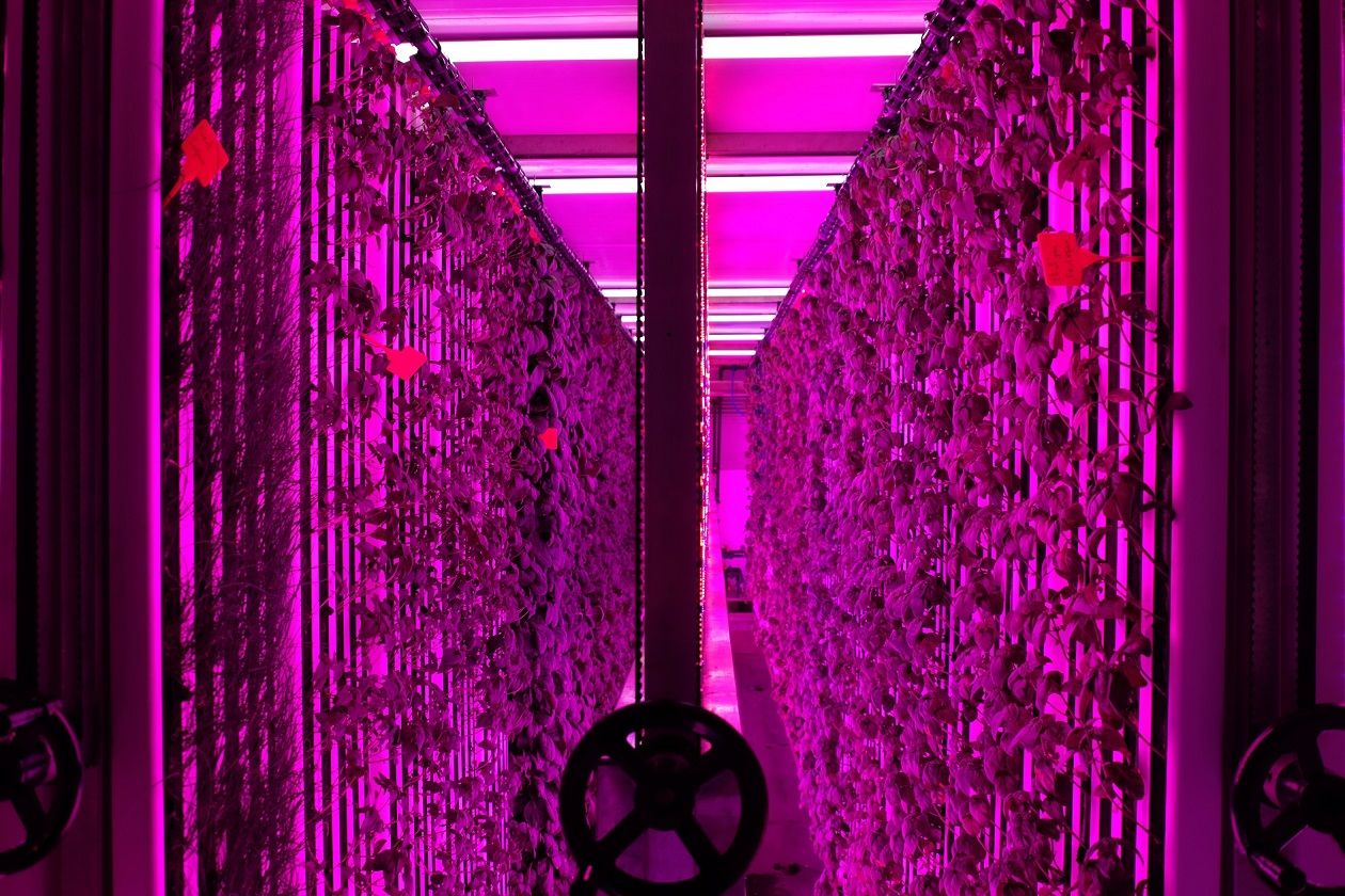 &nbsp; İGSAŞ İş Birliğiyle Sürdürülebilir Tarım Kampüsün Merkezinde Yeditepe Üniversitesi