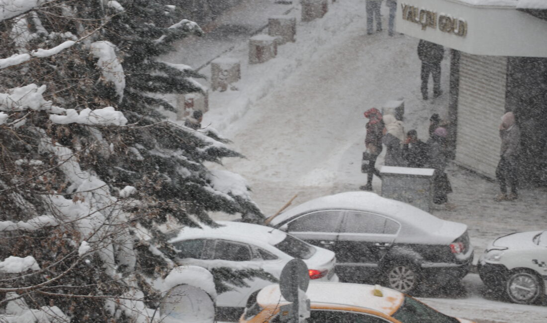 Van genelinde etkili olan yoğun kar yağışı, buzlanma ve sis