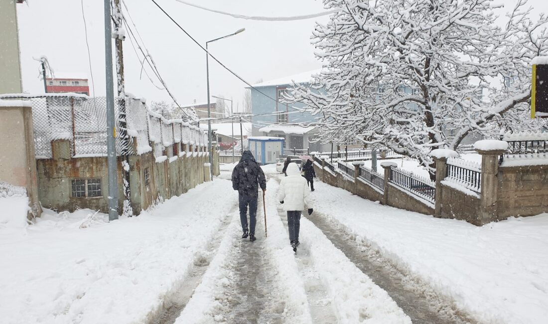 &nbsp; Başkale ve Bahçesaray’da Ulaşım Aksadı Van’da etkili olan kar