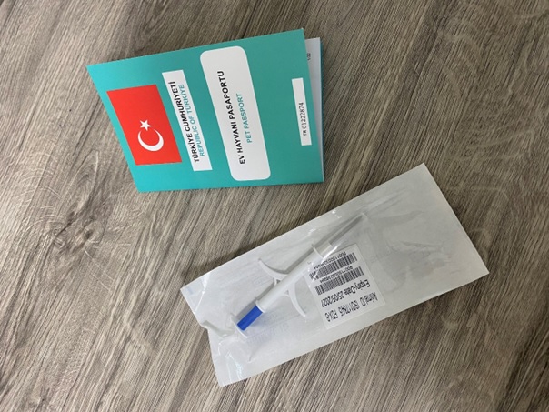 31 Aralık 2025 Son Gün: 6 Aylıktan Büyük Kedi ve