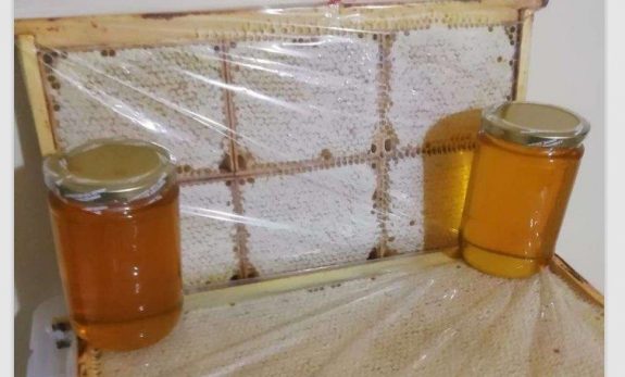 &nbsp; Listeye 3 Yeni Ürün Eklendi Tarım ve Orman Bakanlığı,