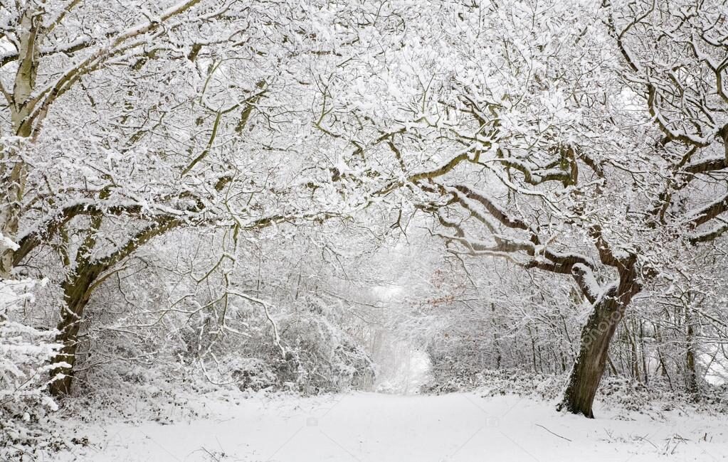 Karaçoban Türkiye’nin En Soğuk Noktası Olarak Kayıtlara Geçti Doğu Anadolu