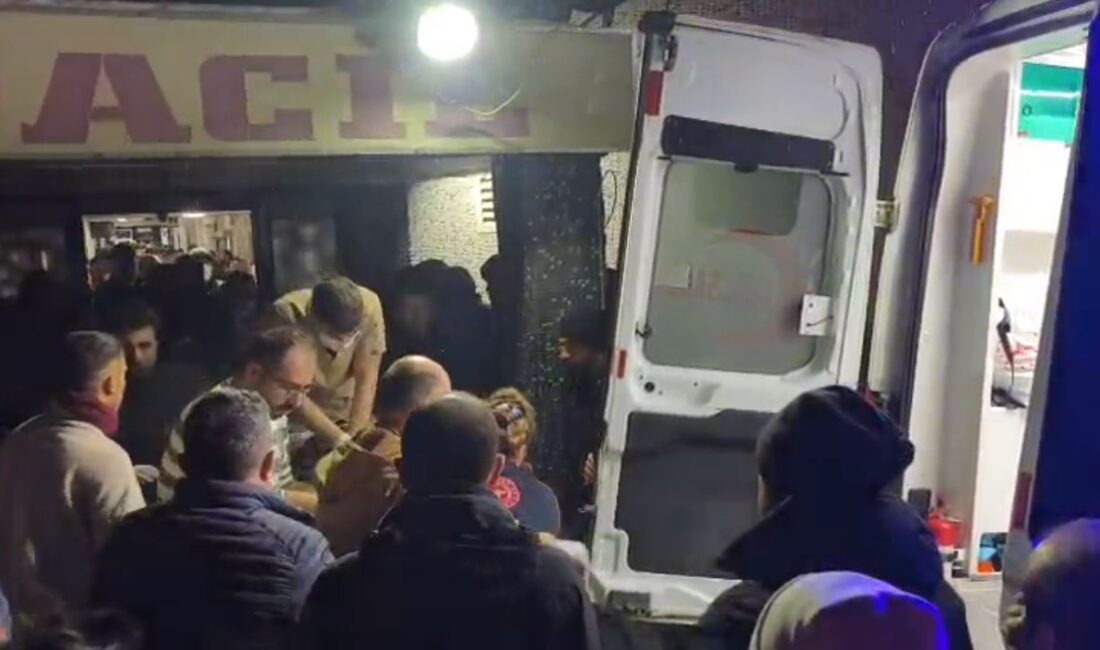 ARTVİN’in Ardanuç ilçesinde, kar yağışının ardından yolda oluşan buzlanma nedeniyle