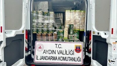 Aydın’ın Köşk ilçesinde jandarma ekiplerinin düzenlediği operasyonda, piyasa değeri 3