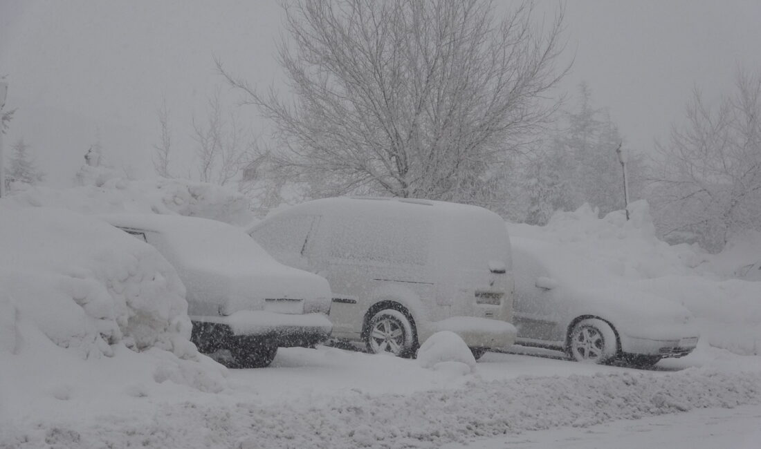 Bitlis’te gece saatlerinde başlayan ve sabah saatlerinde şiddetini artıran kar