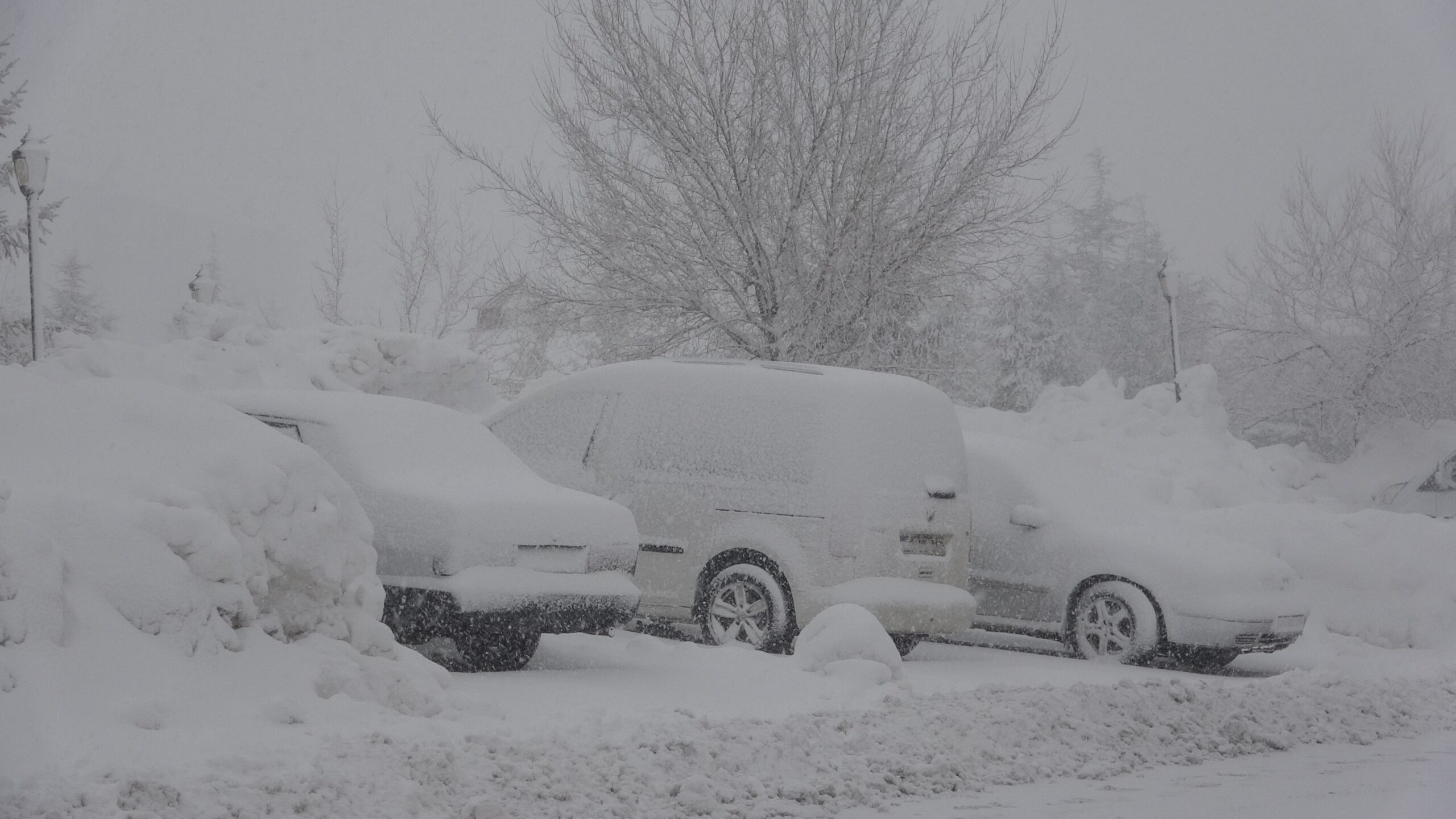 Bitlis’te gece saatlerinde başlayan ve sabah saatlerinde şiddetini artıran kar