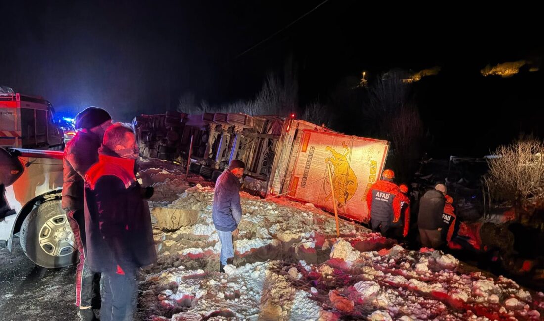 Erzincan’ın Refahiye ilçesinde büyükbaş hayvan taşıyan bir TIR’ın şarampole devrilmesi