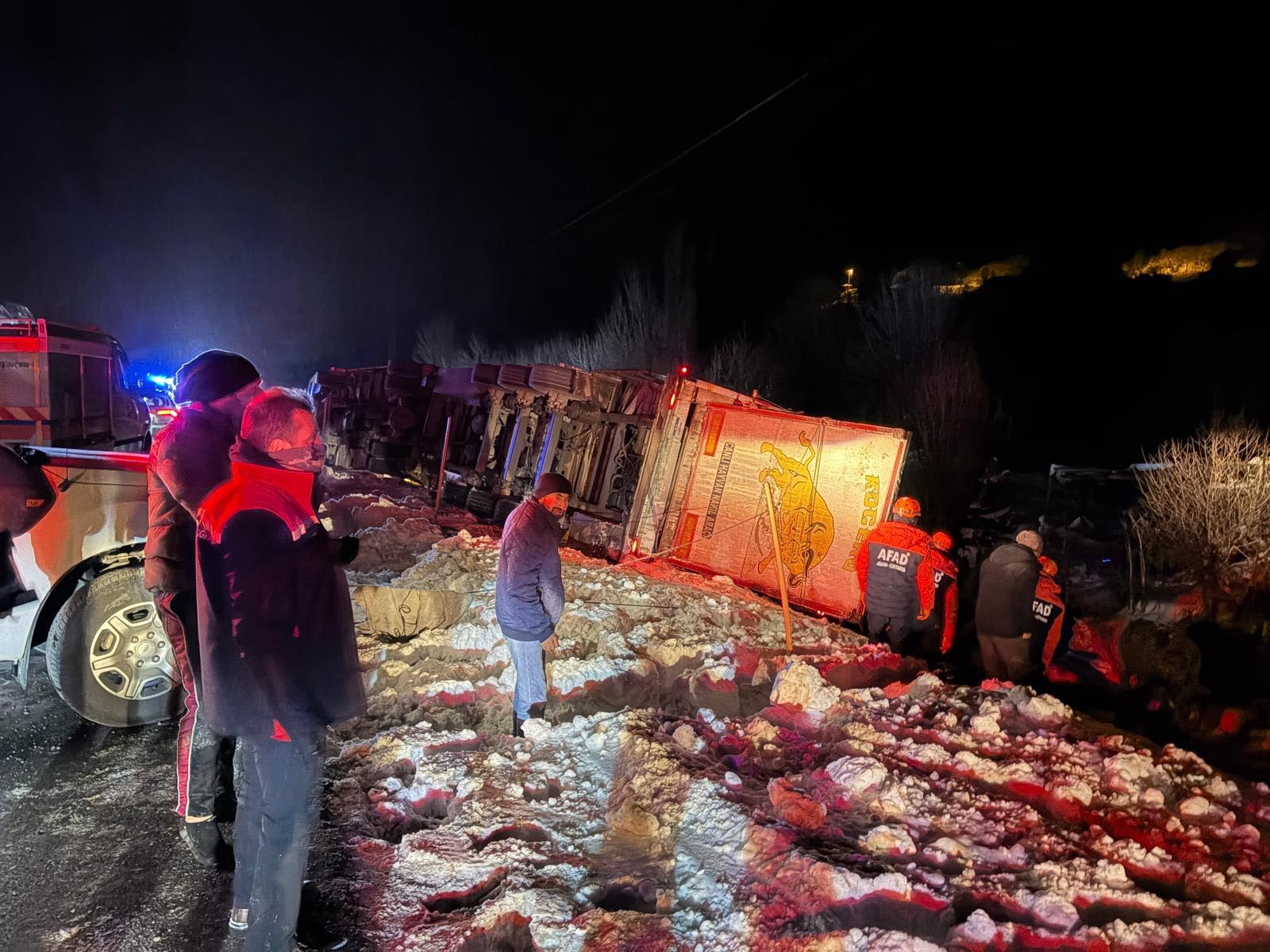 Erzincan’ın Refahiye ilçesinde büyükbaş hayvan taşıyan bir TIR’ın şarampole devrilmesi