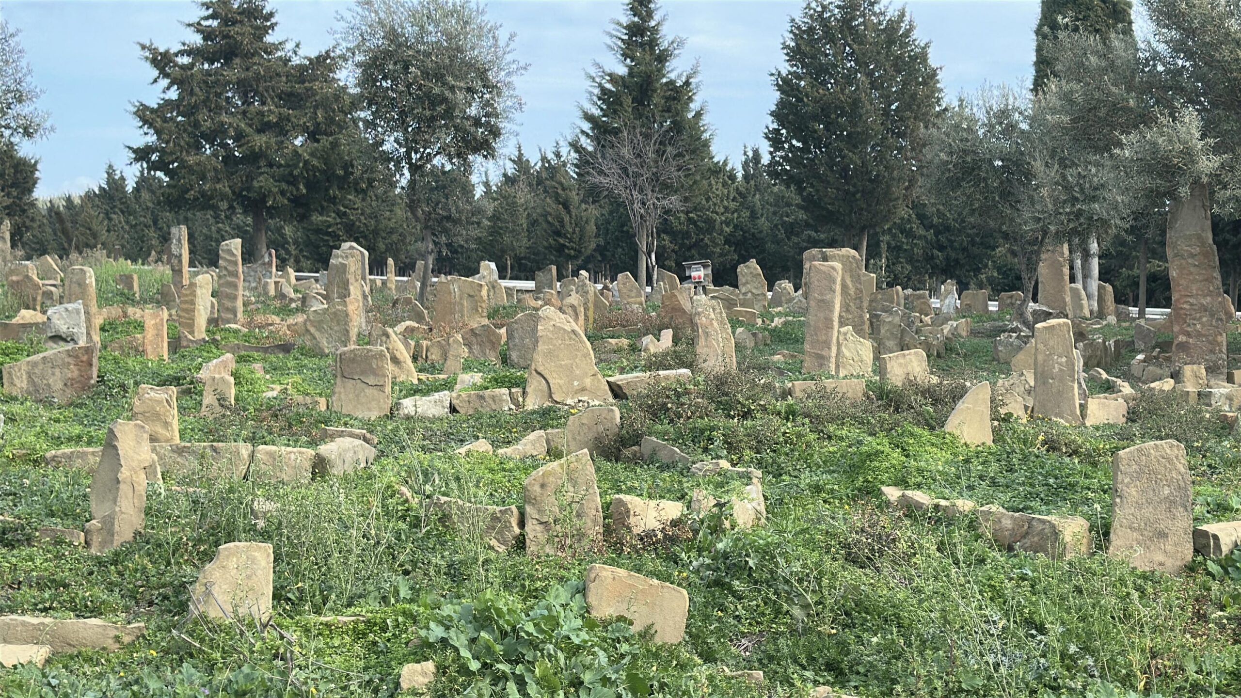 ÇANAKKALE – Çanakkale’nin Eceabat ilçesindeki Küçükanafarta Tarihi Mezarlığı’nda yürütülen çalışmalarda,
