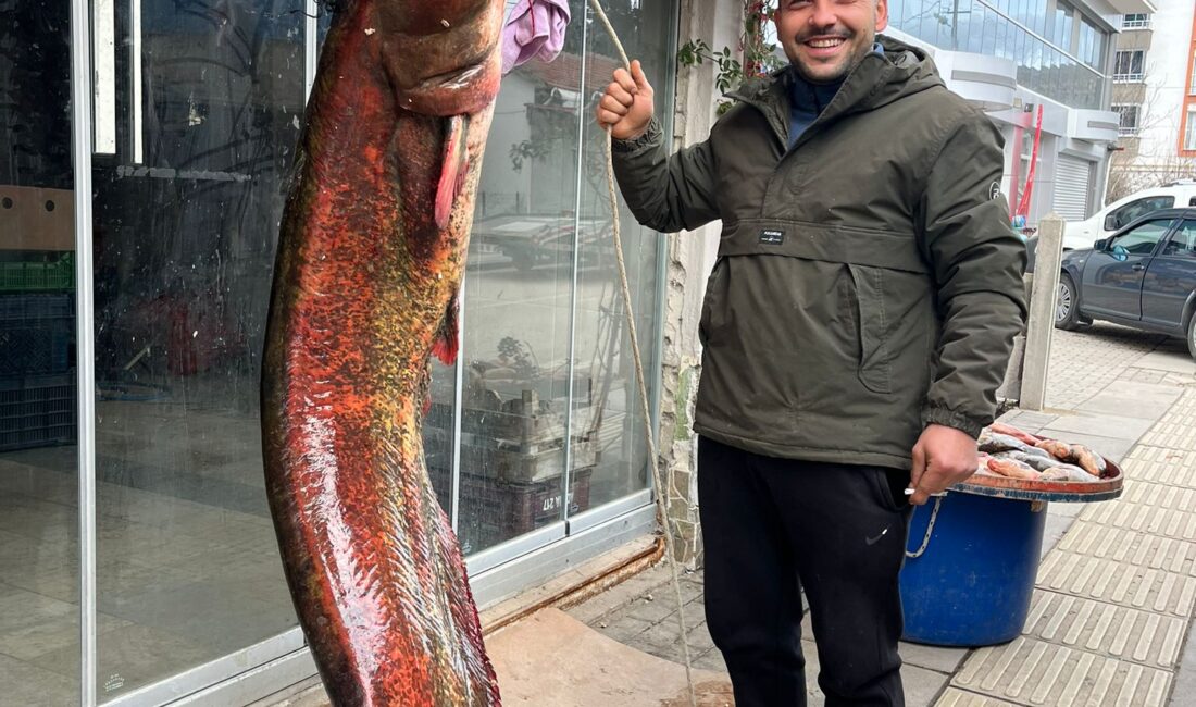 Ankara’nın Nallıhan ilçesinde bulunan Çayırhan Gölü’nde avlanan balıkçı Hakan Yurdakul’un
