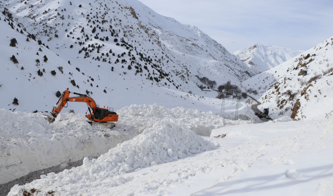 Van’da çığ düşmesi sonucu 6 gündür kapalı olan Van-Çatak kara