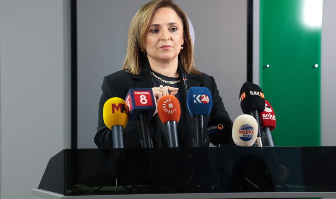 DEM Parti Sözcüsü Ayşegül Doğan, parti genel merkezinde düzenlediği basın