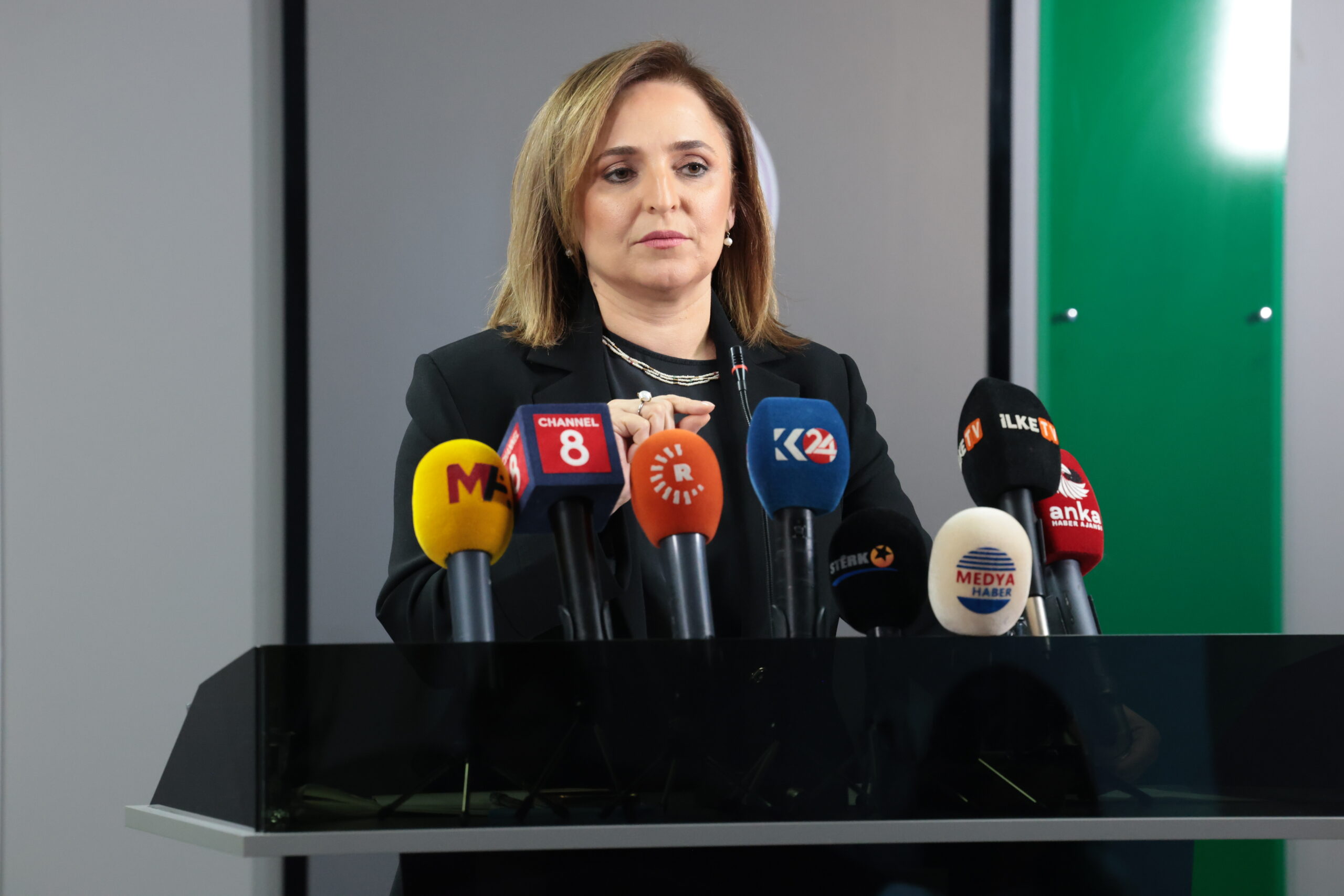 DEM Parti Sözcüsü Ayşegül Doğan, parti genel merkezinde düzenlediği basın