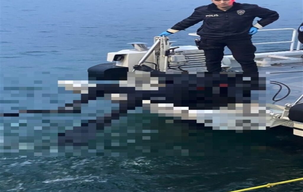 Başiskele ilçesi sahilinde balıkçılar tarafından bulunan dalgıç kıyafetli cesedin, Aralık