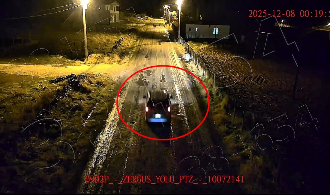 Diyarbakır merkezli 5 ilde, enerji ve haberleşme hatlarından kablo hırsızlığı