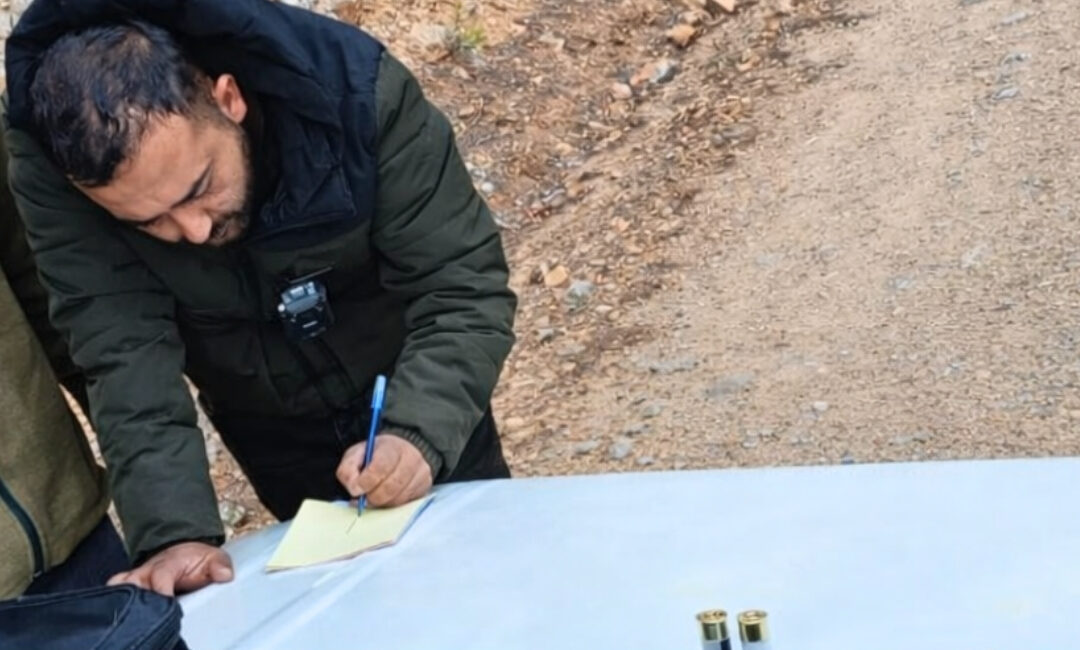 Doğa Koruma ve Milli Parklar Genel Müdürlüğü (DKMP), 4 farklı