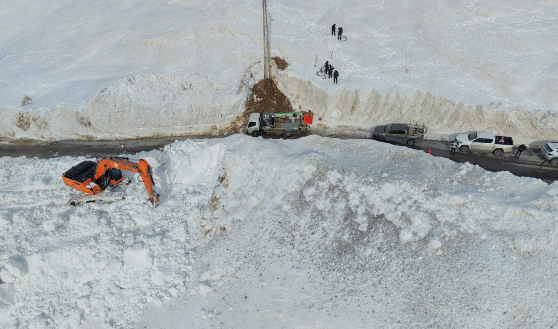Van’da etkili olan yoğun kar yağışı ve çığ düşmesi sonucu