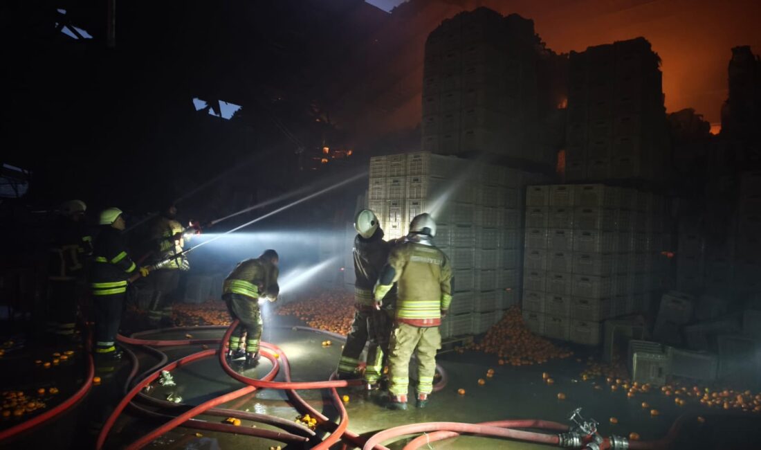 Hatay’ın Erzin ilçesinde bir meyve-sebze paketleme tesisinde çıkan yangında dumandan