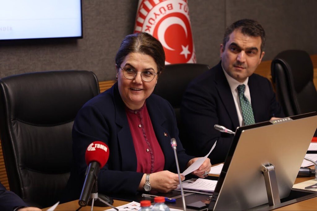 Türkiye Büyük Millet Meclisi (TBMM) İnsan Haklarını İnceleme Komisyonu’nda boşalan