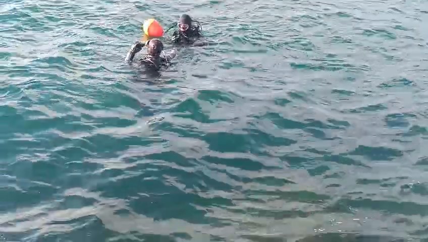 Kartal Sahili ve Adalar Mevkiinde AFAD ve Sahil Güvenlik Ekiplerinin