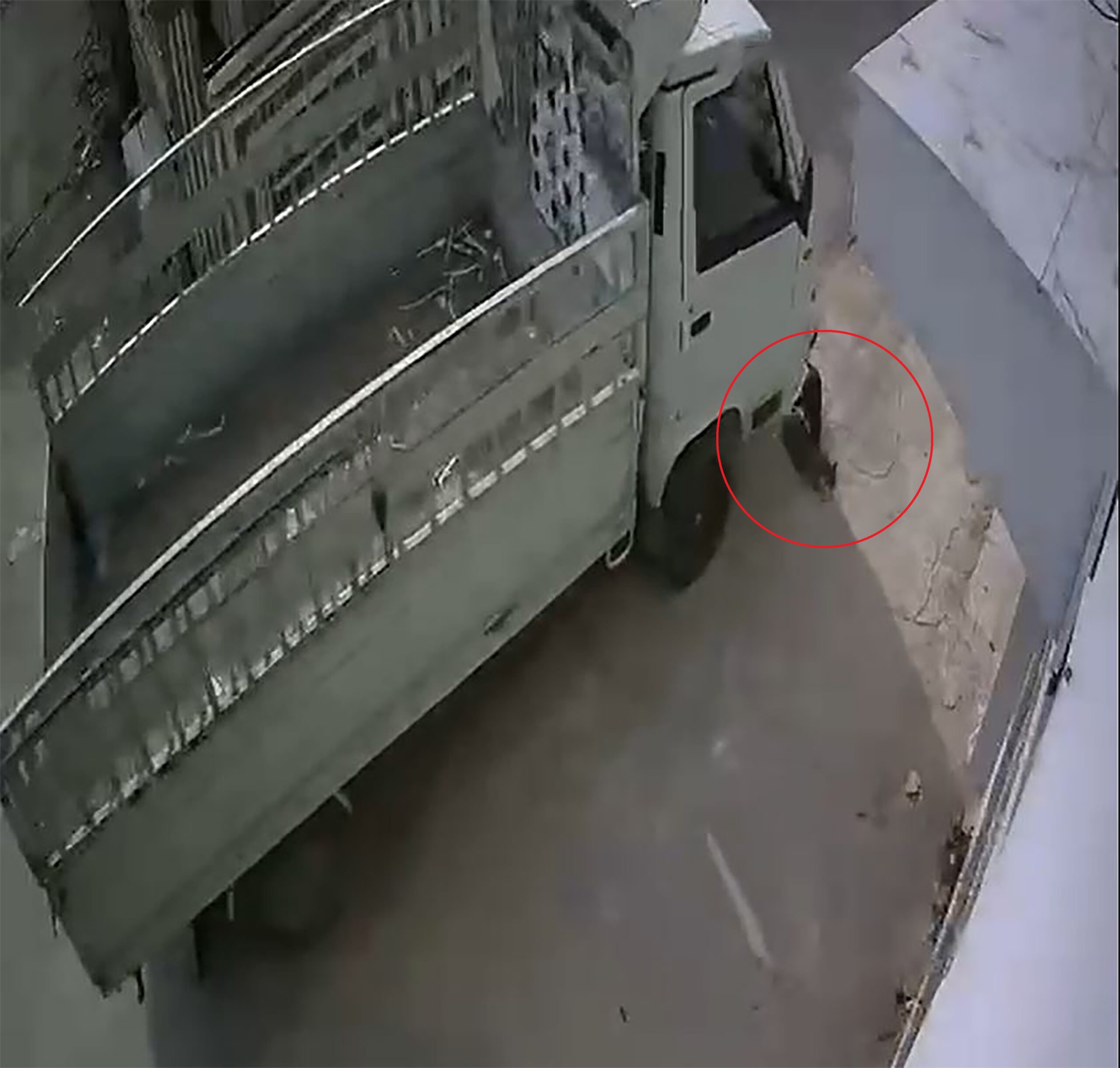 Adana’da kamyonetiyle sokaktaki bir kediyi ezip ağır yaraladıktan sonra kaçan