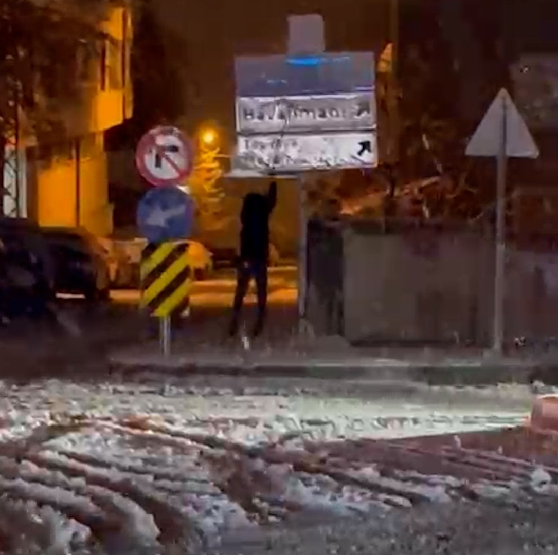 Samsun’da 12 yaşındaki ortaokul öğrencisi Kadir Emin Gürsoy, karla kaplanan