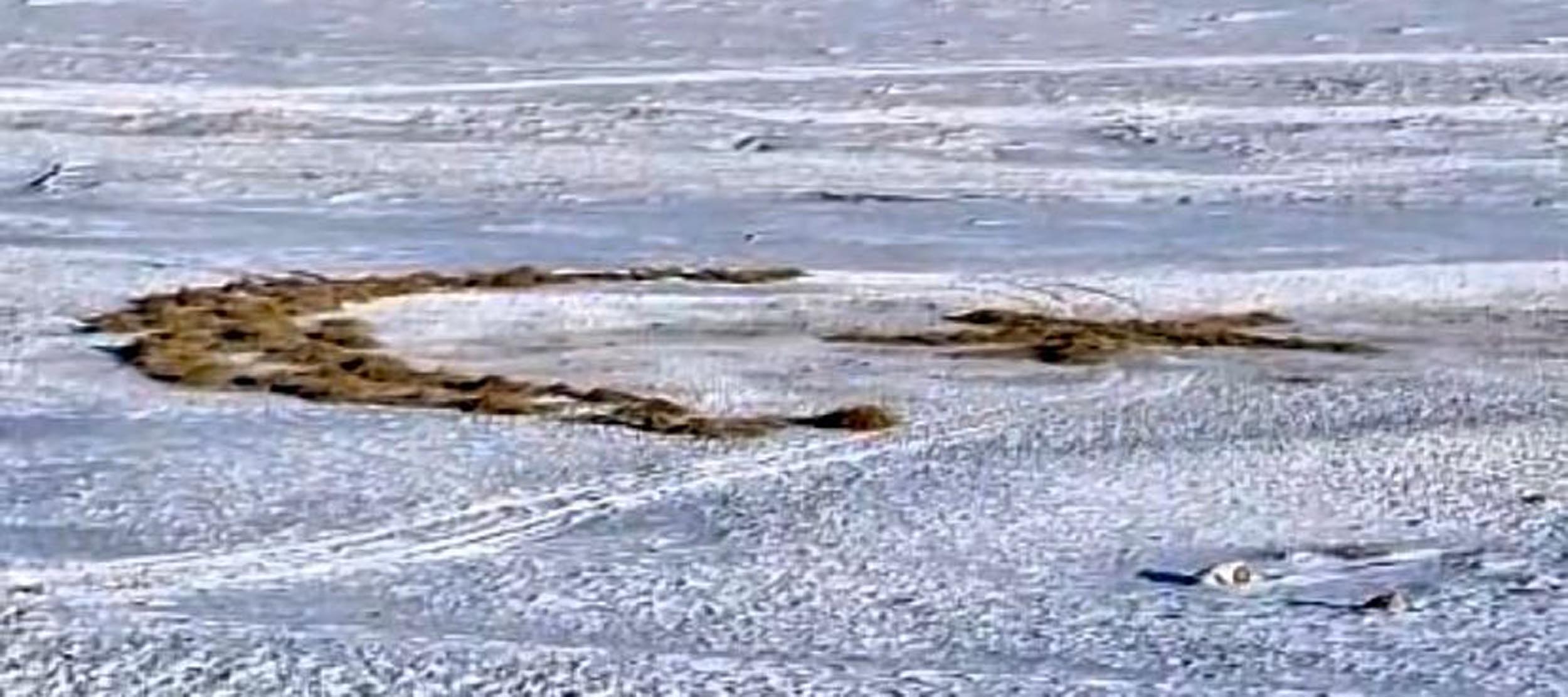 Kars’ın Ermenistan sınırında bulunan Yılanlı köyünde yaşayan 18 yaşındaki Süleyman