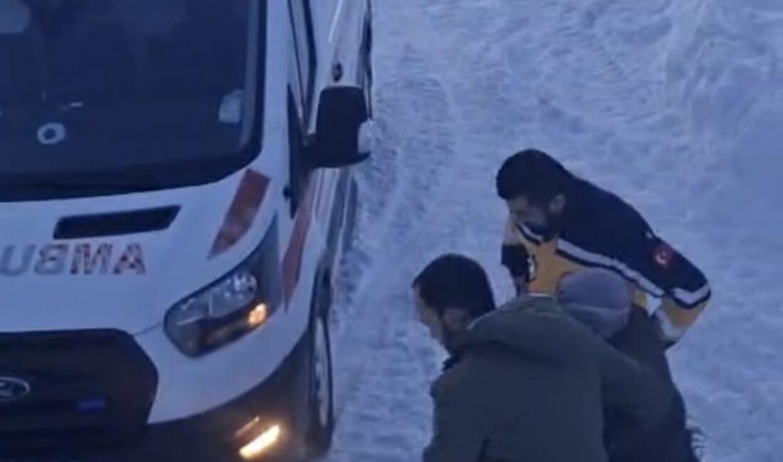 Kars’ın Selim ilçesinde yoğun kar yağışı ve tipi nedeniyle yolu