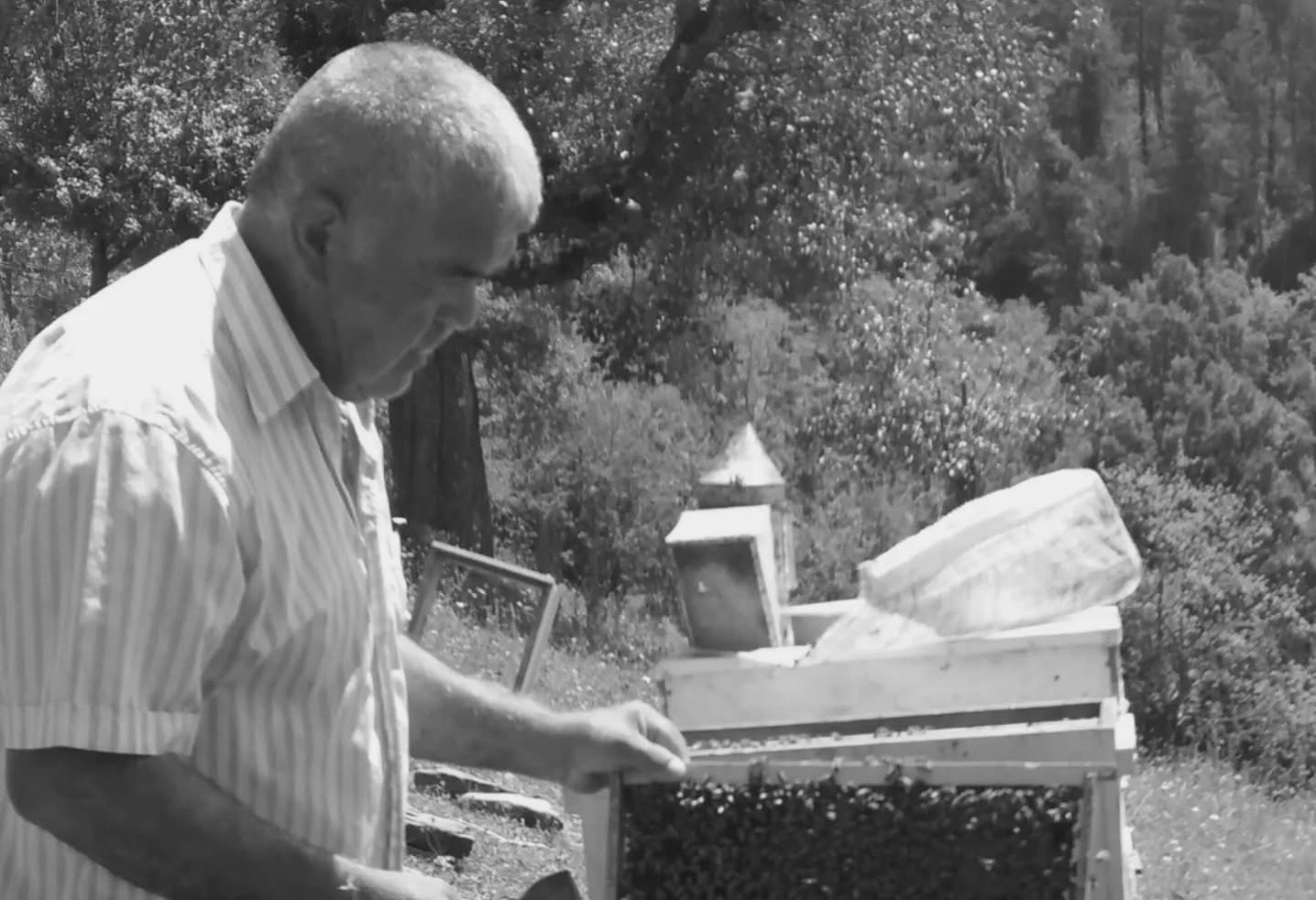 Bartın’ın Ulus ilçesinde ormanda kesim yaptığı sırada devrilen ağacın altında