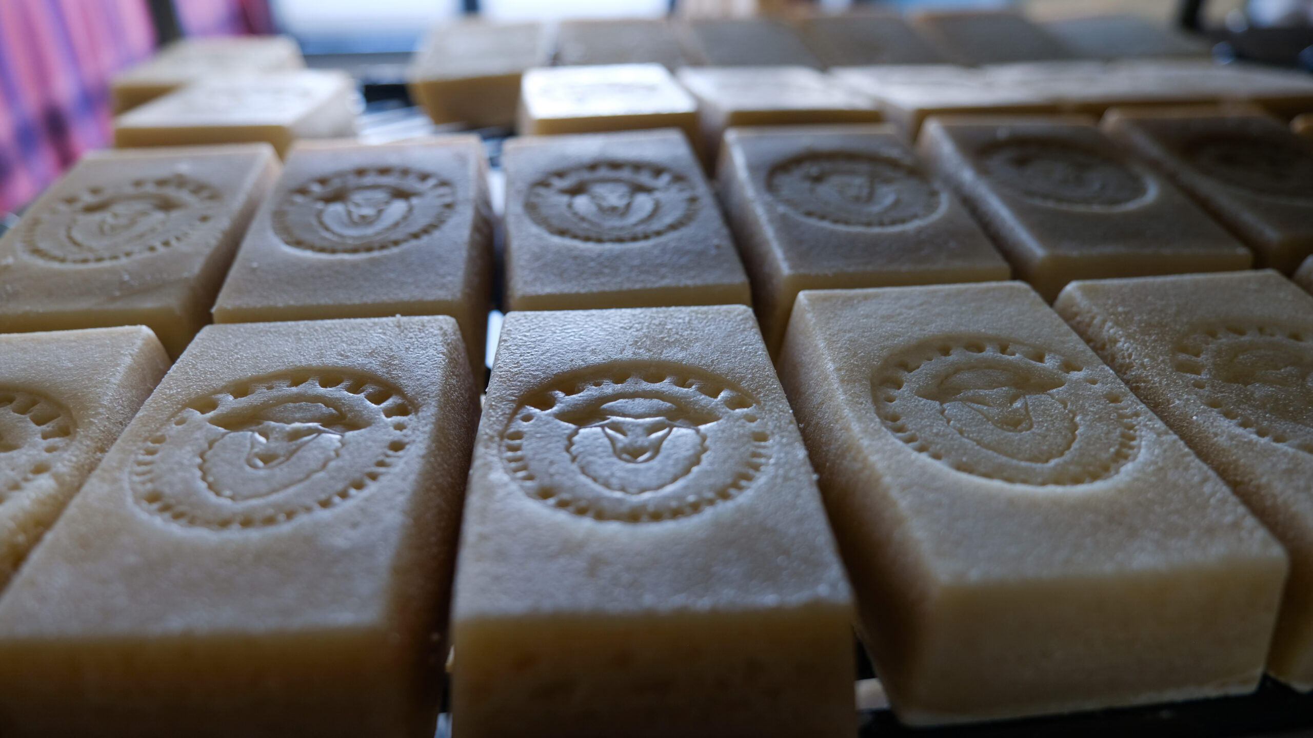 KONYA’da Selçuk Üniversitesi Veteriner Fakültesi Öğretim Üyesi Doç. Dr. Esat