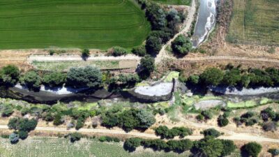 Edirne’de son yıllarda etkili olan kuraklığın tarımsal üretim üzerindeki olumsuz