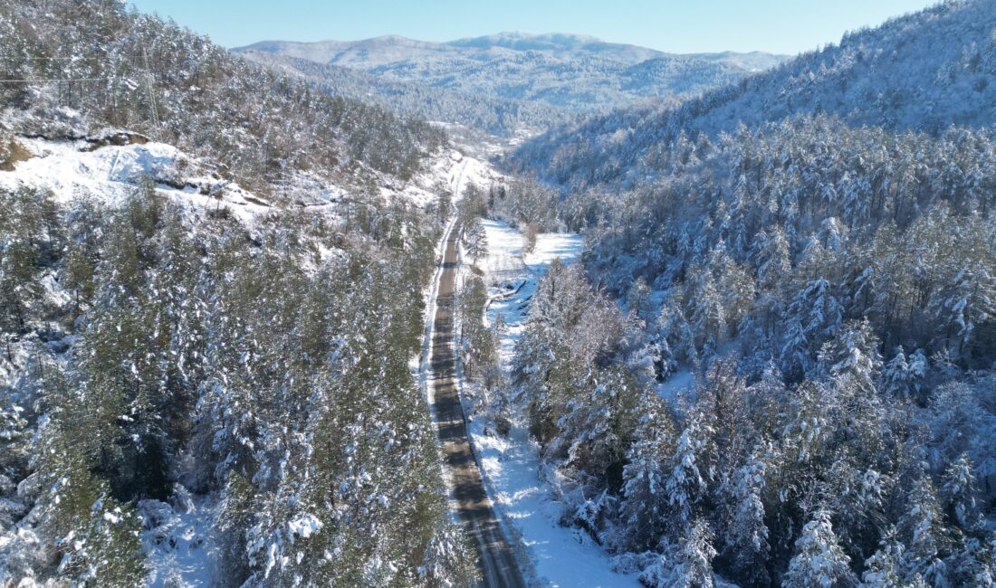 Avrupa’nın Seçkin Doğal Alanlarından Biri Olan Küre Dağları Milli Parkı’nda,