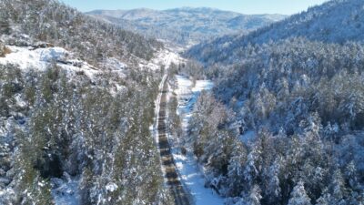 Avrupa’nın Seçkin Doğal Alanlarından Biri Olan Küre Dağları Milli Parkı’nda,