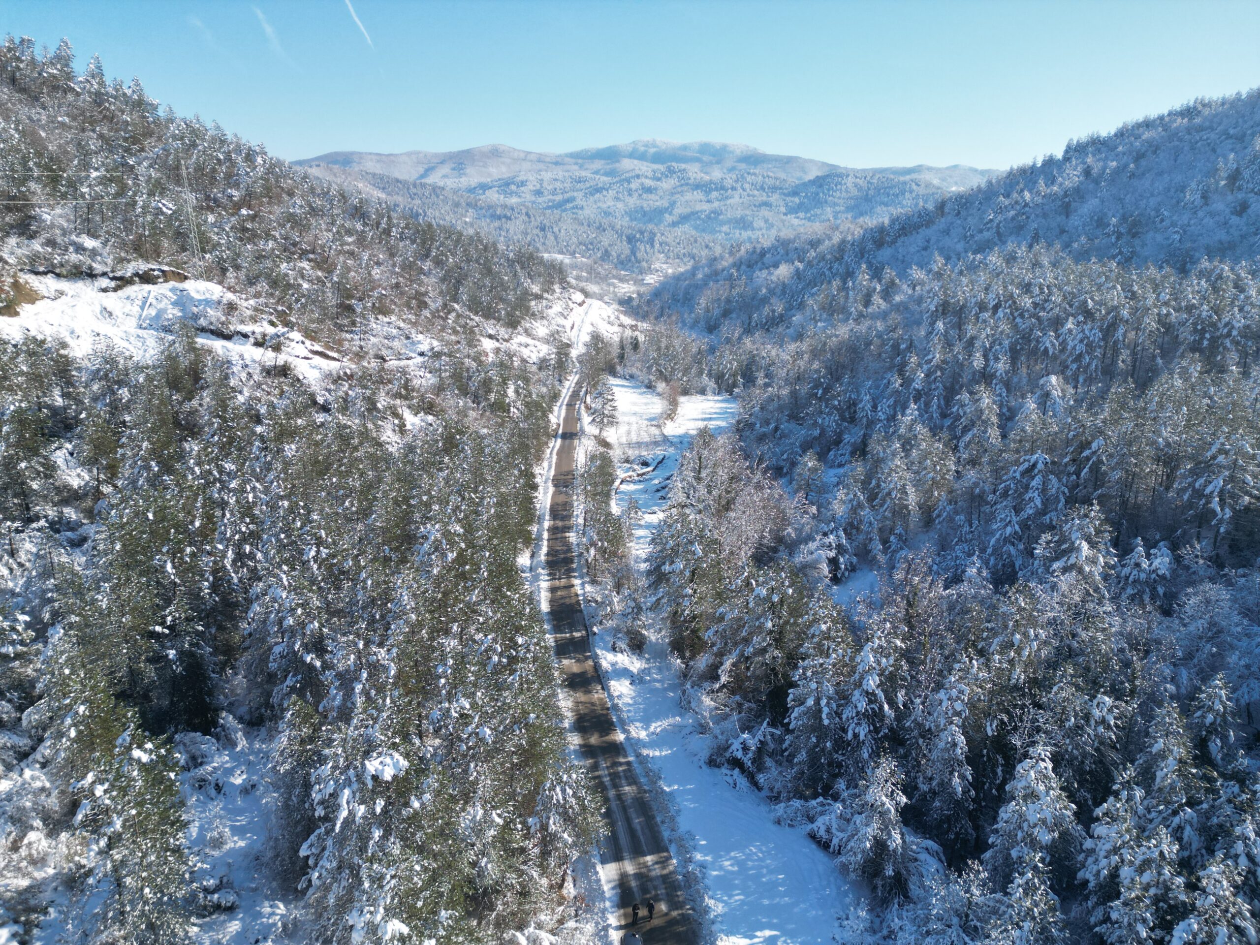 Avrupa’nın Seçkin Doğal Alanlarından Biri Olan Küre Dağları Milli Parkı’nda,