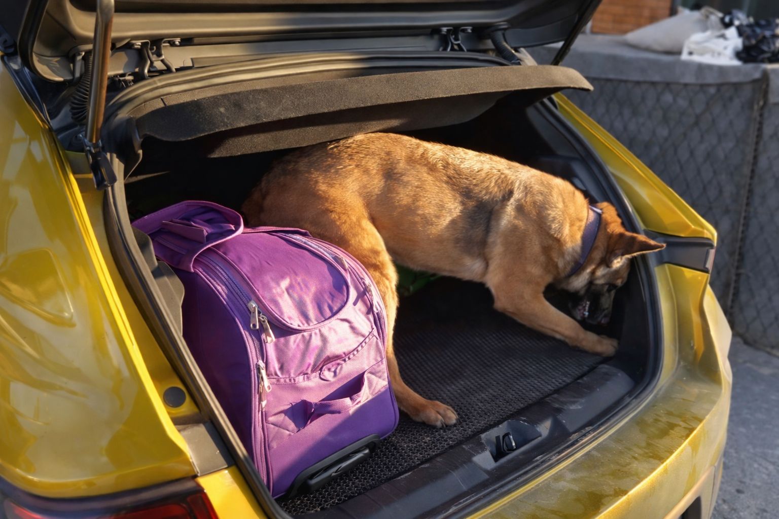 Samsun’un Havza ilçesinde polisin şüphe üzerine durdurduğu bir otomobilde yapılan