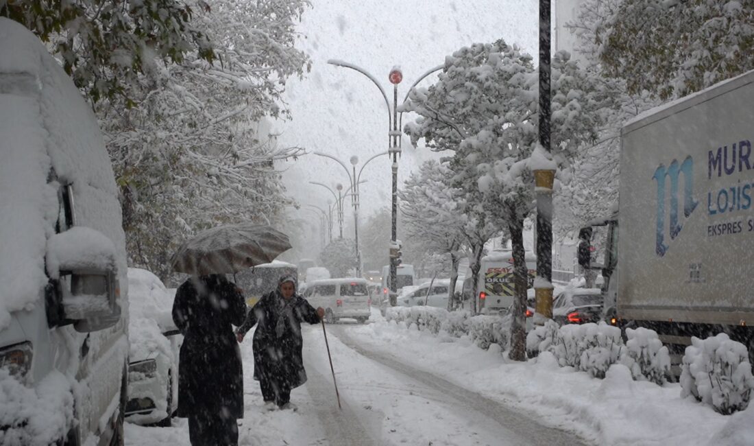 Siirt Eğitim ve Araştırma Hastanesi Ortopedi ve Travmatoloji Uzmanı Dr.