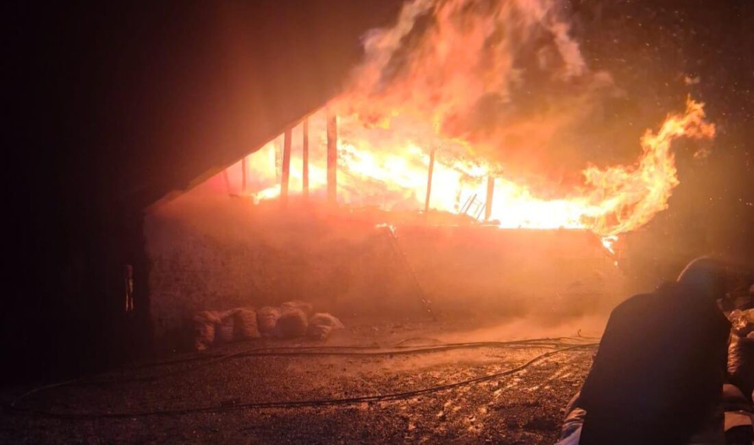 Adana’nın Feke ilçesinde kömür sobasından sıçrayan kıvılcımların neden olduğu yangında,