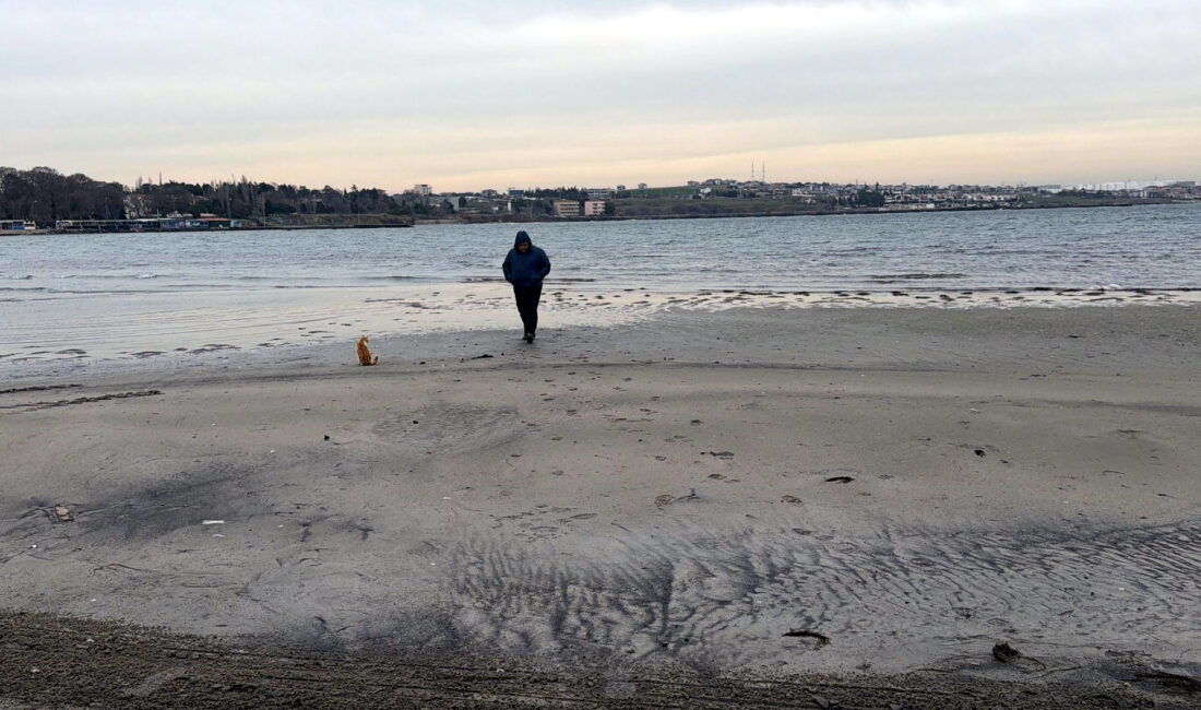 Tekirdağ’ın Marmaraereğlisi ilçesinde Marmara Denizi, kıyıdan yaklaşık 50 metre çekildi.