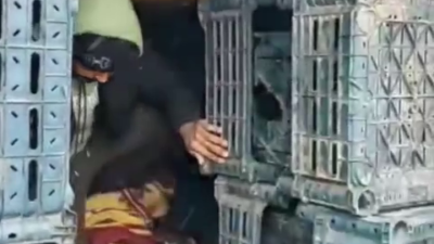 Düzce’de Anadolu Otoyolu üzerinde durdurulan iki TIR’ın dorsesinde, kasaların arkasına